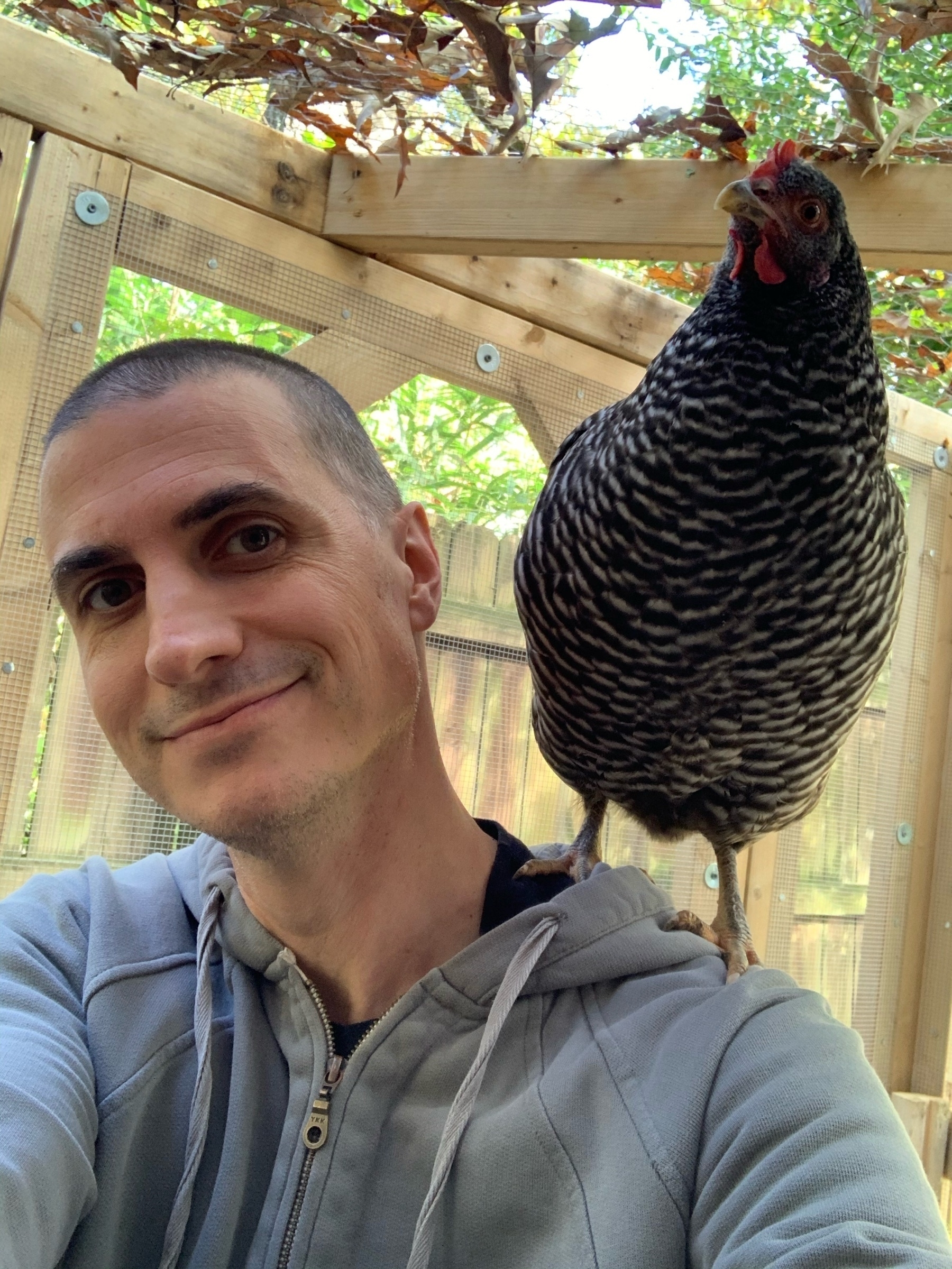 Latte the hen, as always, perched on my shoulder!